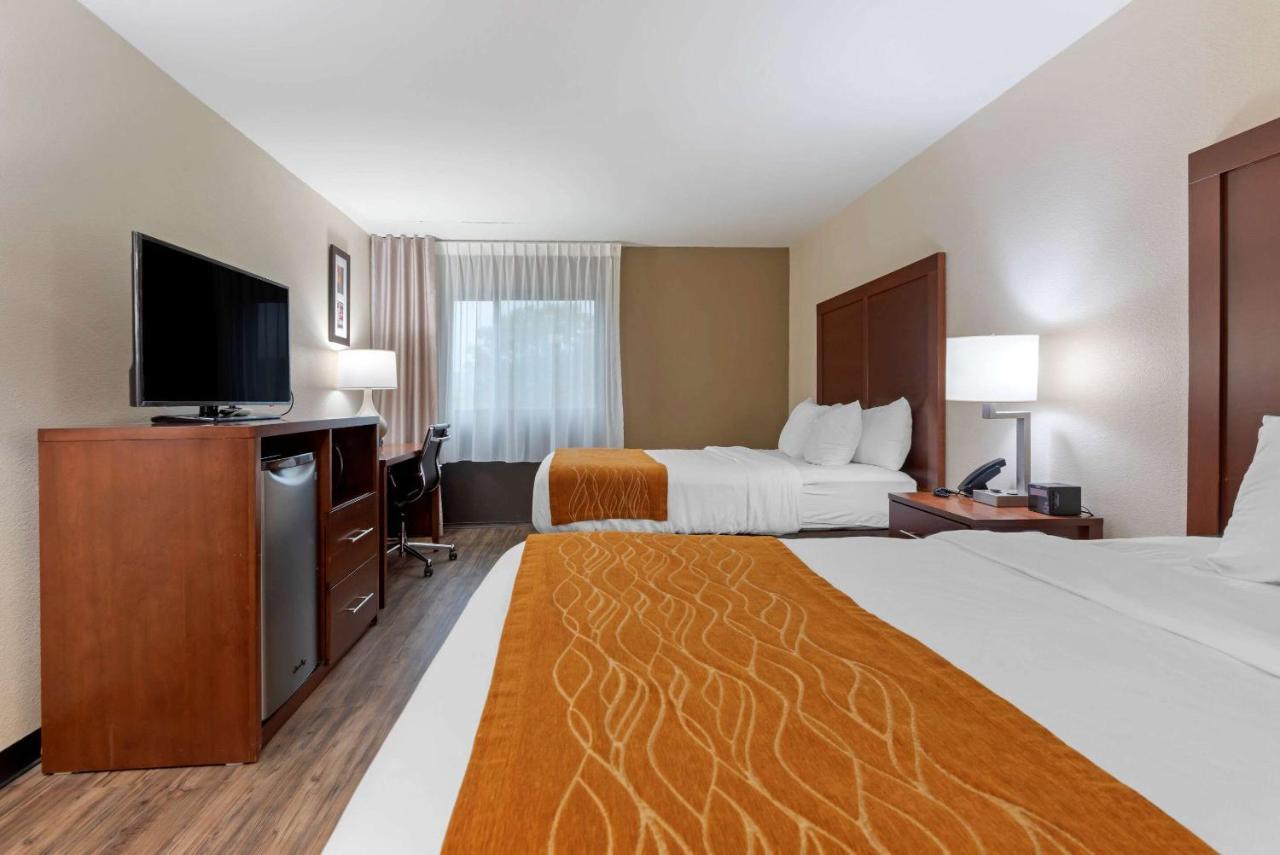 Comfort Inn Binghamton I-81 Buitenkant foto