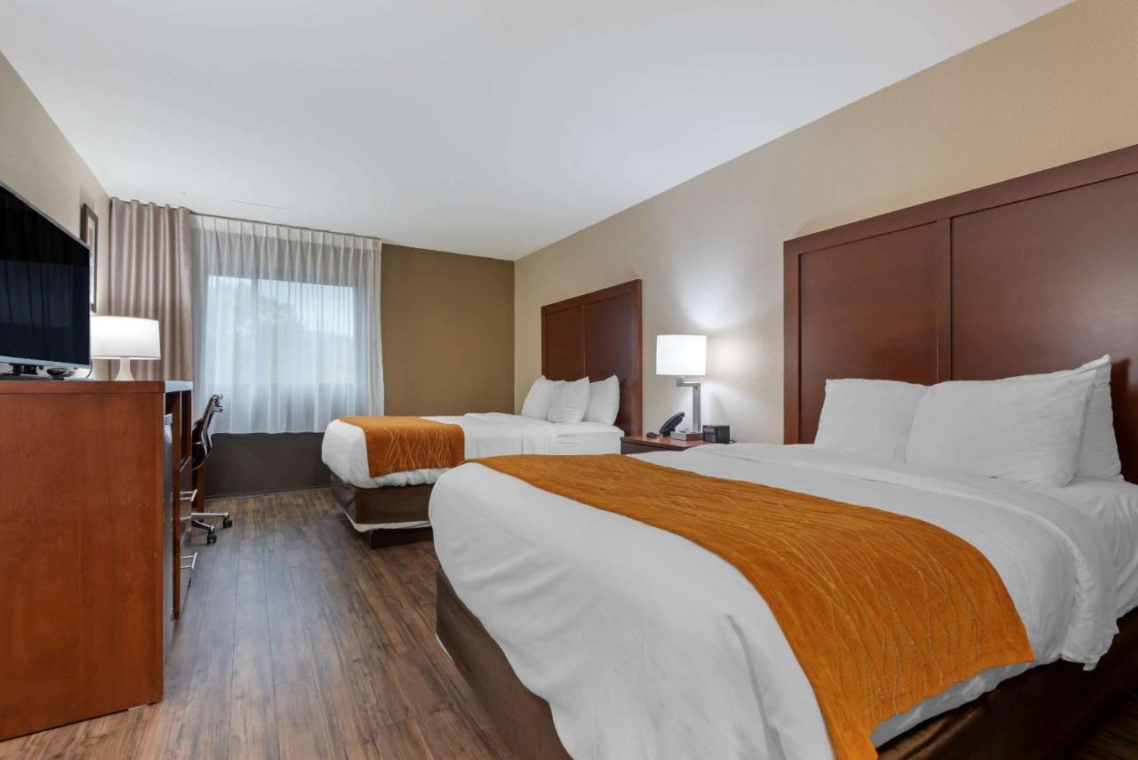 Comfort Inn Binghamton I-81 Buitenkant foto