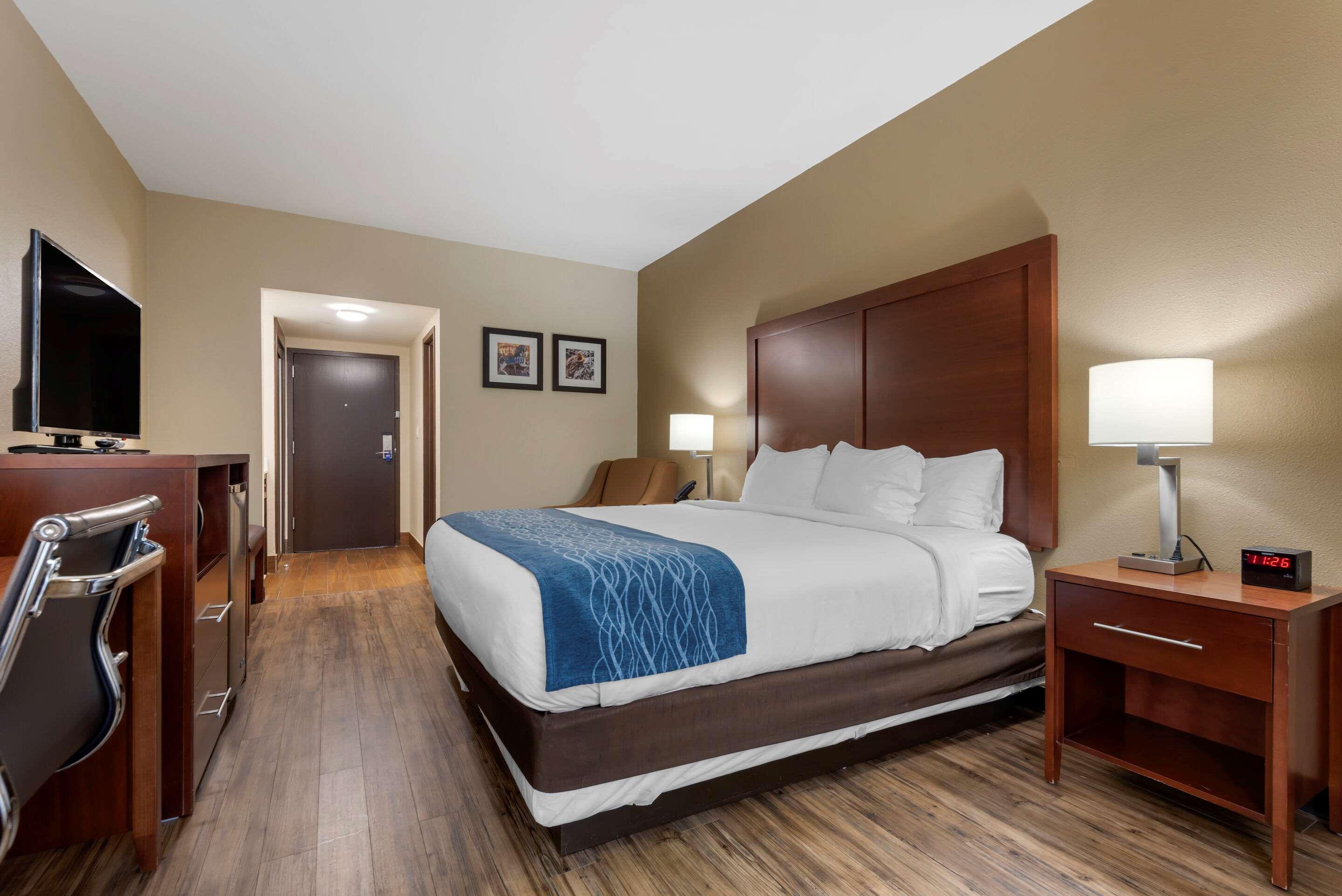 Comfort Inn Binghamton I-81 Buitenkant foto