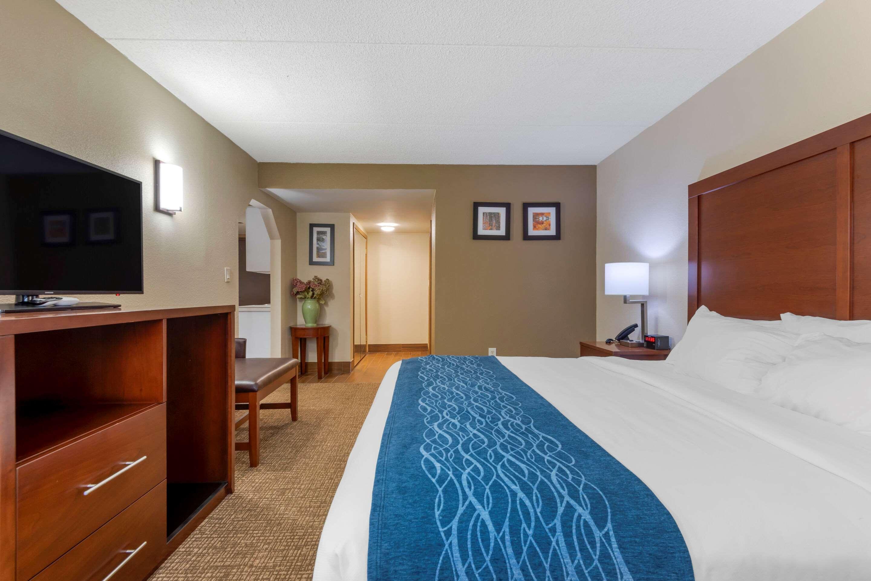 Comfort Inn Binghamton I-81 Buitenkant foto